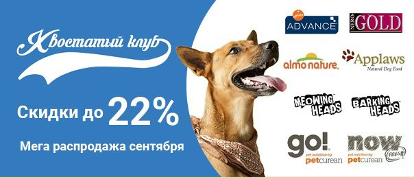 Хвостатый Ру Интернет Магазин Москва
