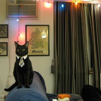 Человек Разумный |