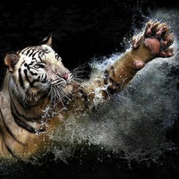 Алина Лаптева | Уржум