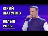 Премьера. Юрий Шатунов - Белые розы