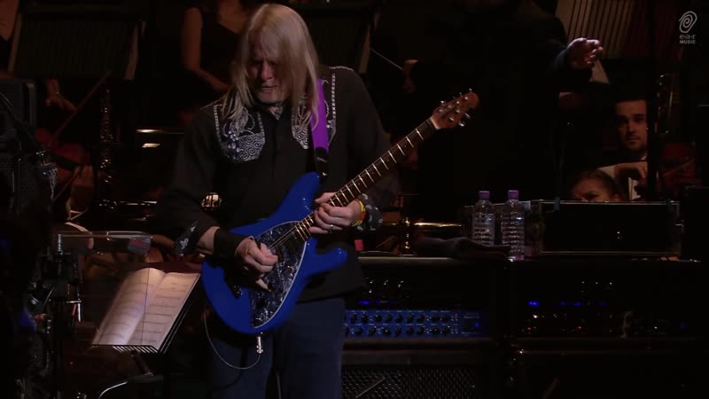 Deep Purple Uncommon