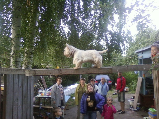 №10, Слава Аверин №10, Слава Аверин