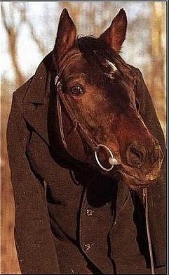 №133, Антон Дайнеко, Красноярск, Россия №133, Антон Дайнеко, Красноярск, Россия