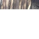 №120, Маша Ганенко, 33 года, Киев №120, Маша Ганенко, 33 года, Киев