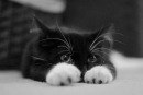 Фотография Янченко Любашки
