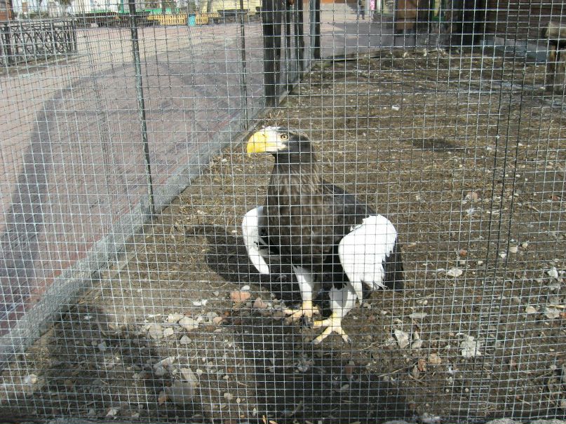 Валентина Ядрецова | 