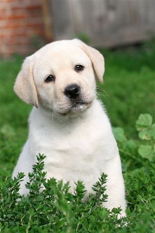 Алина Алешкевич | Минск