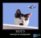 Фотография Рушан Мухутдинов