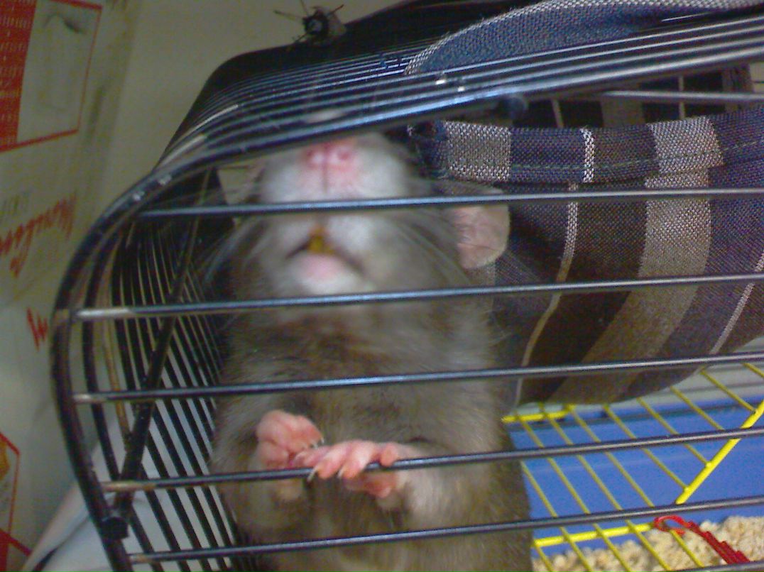 Сергей Ветвинский | Москва