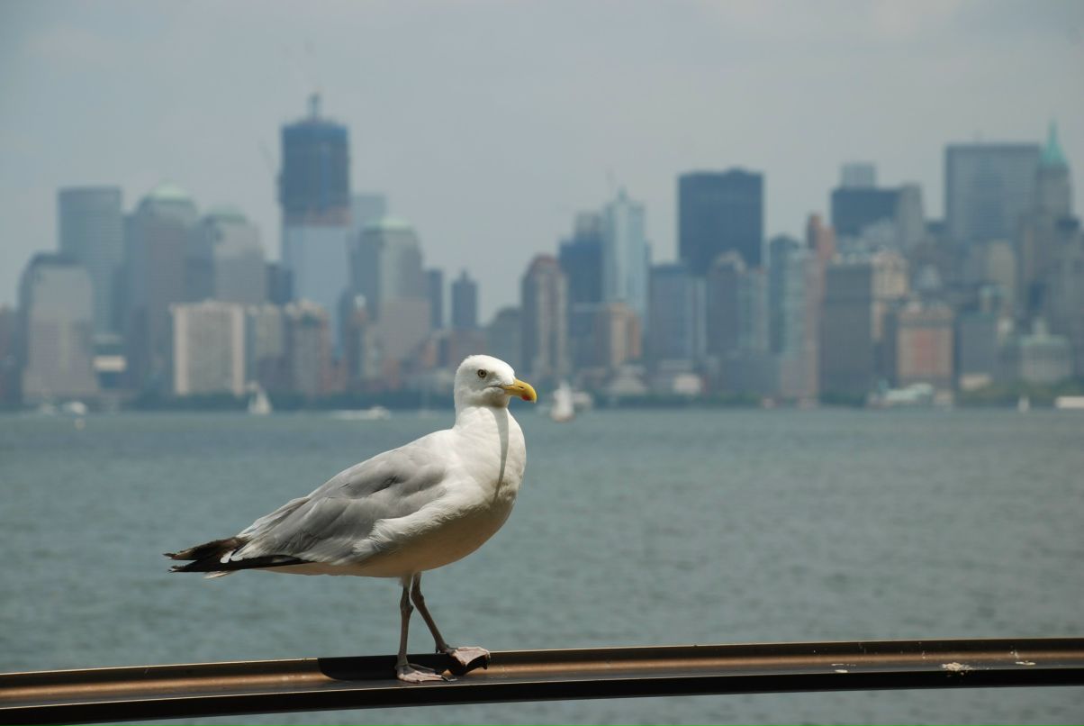 Наталья Бороздина | Москва