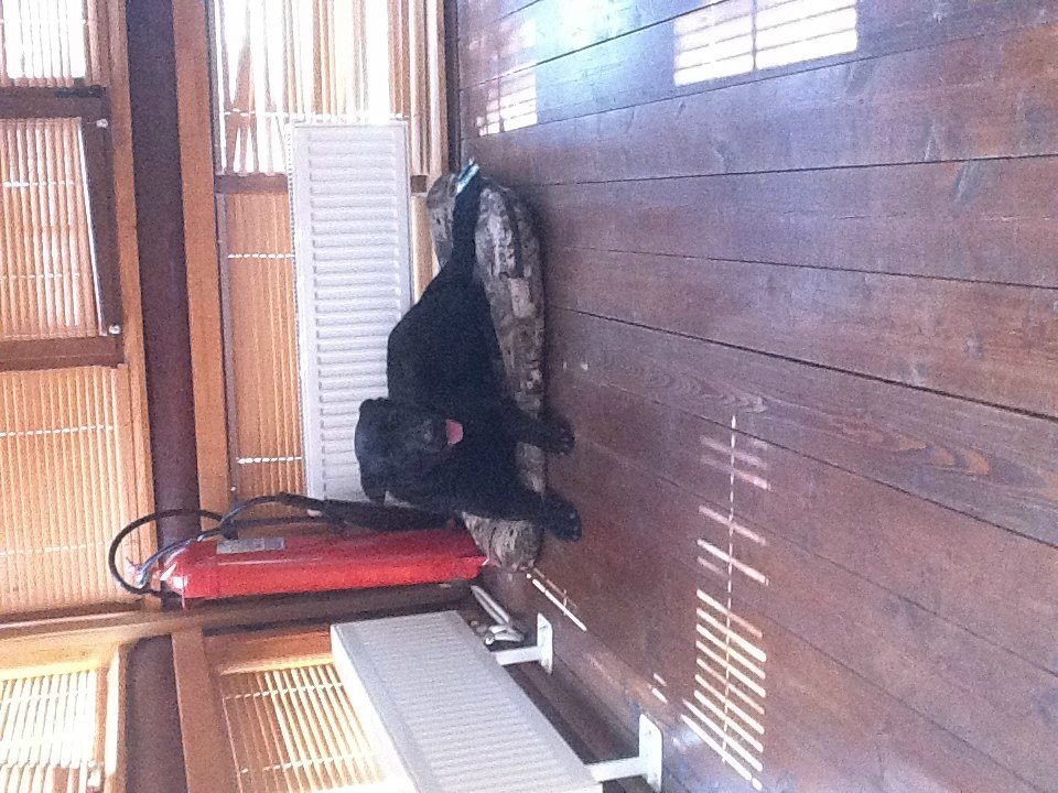 Максим Соколов | Москва