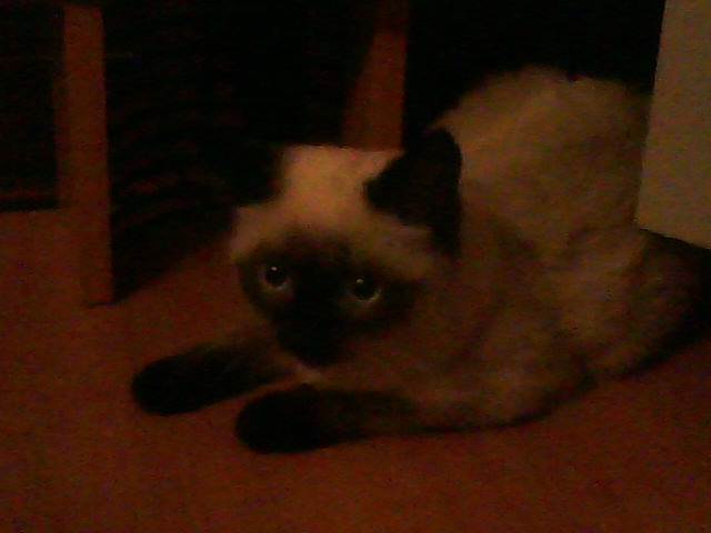 Мария Ткачёва | Казань