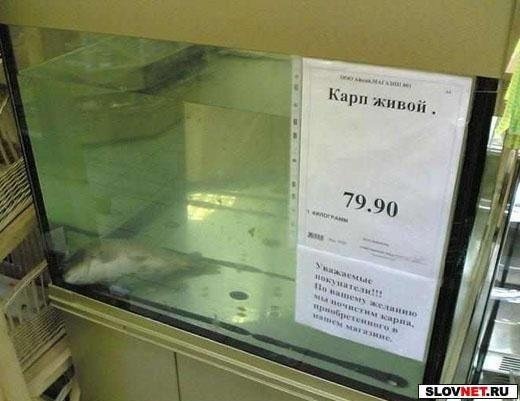 №105, Артём Бочкарёв, 9.4.1995 №105, Артём Бочкарёв, 9.4.1995