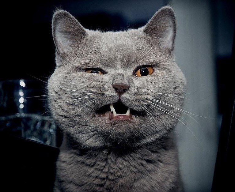 Андрей Рыбалко Сергеевич | 