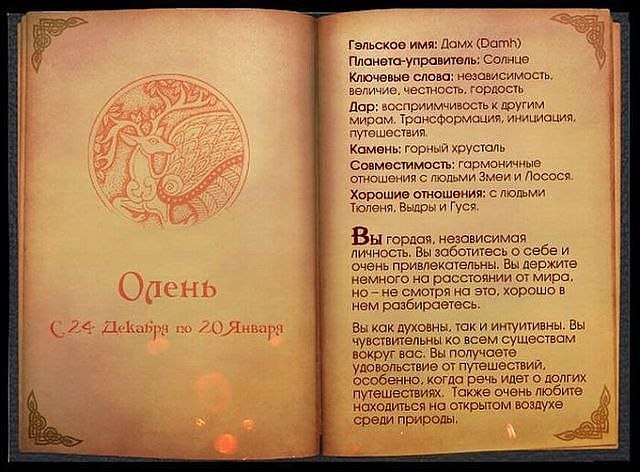 Егор Илюхин | 