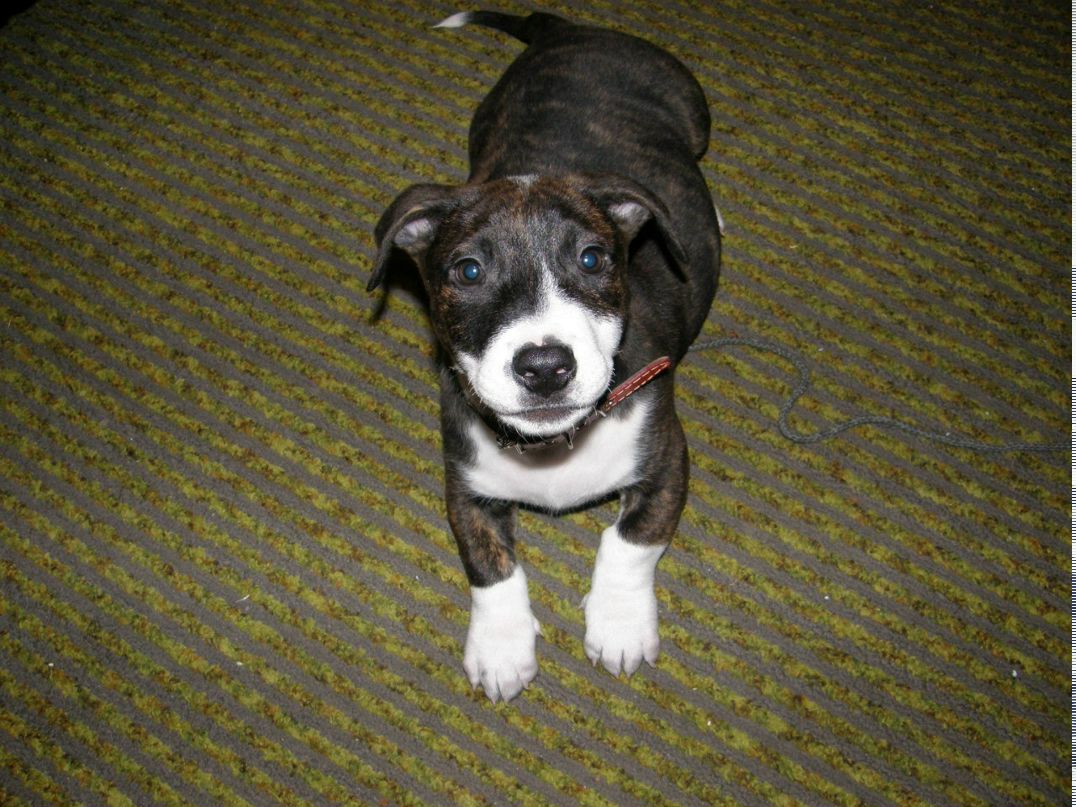 Марьяна Лещина | Toronto