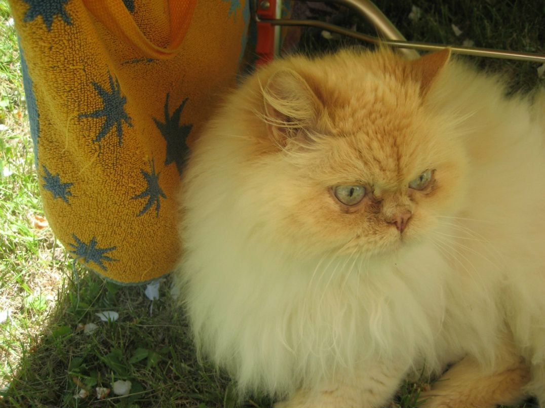 Юрий Блинников | Рига