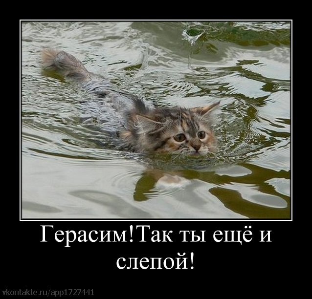 Васиф Мовсумзаде | Magdeburg