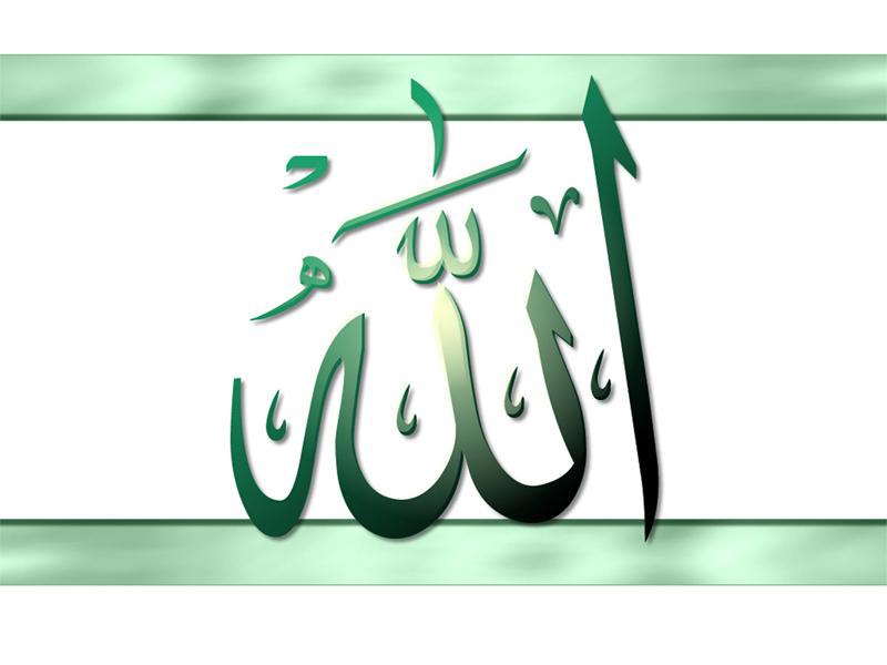 Наиль Мякушев | 