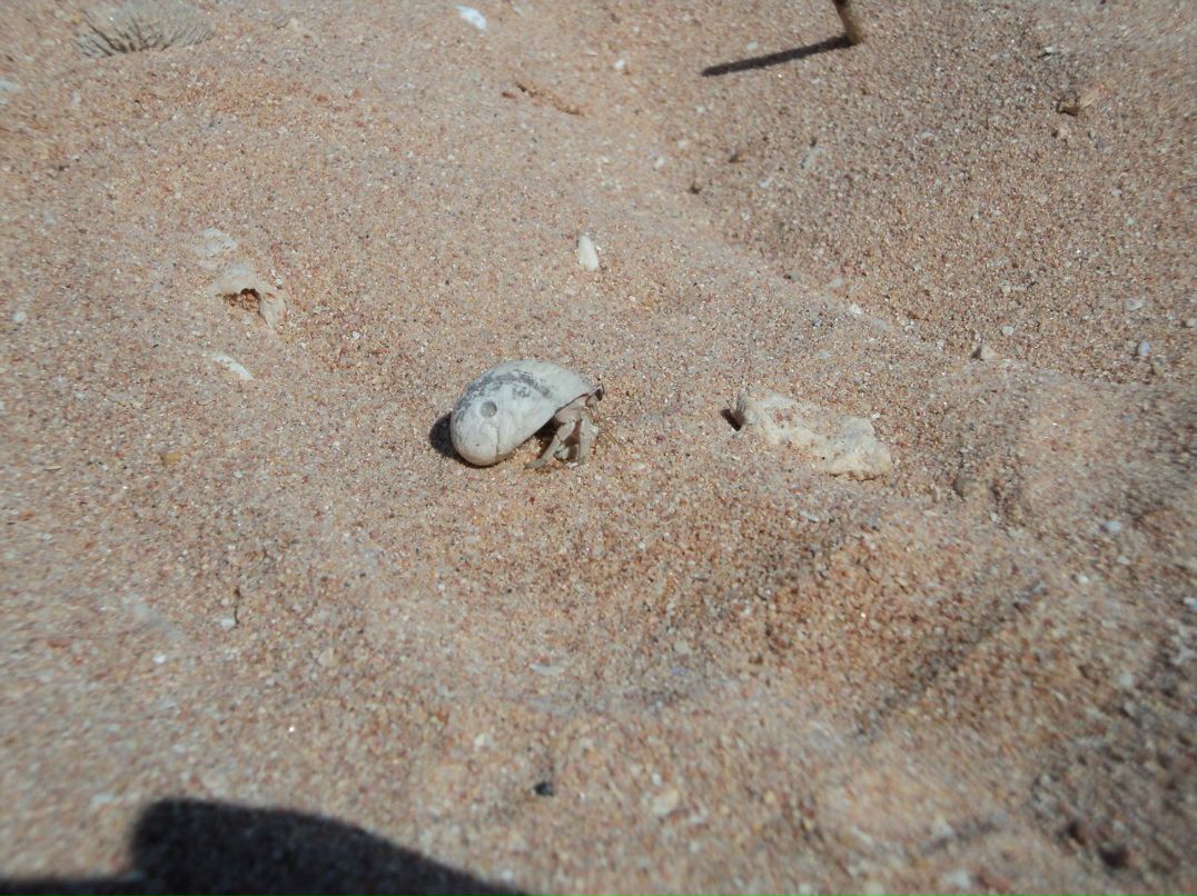 Ирина Карбаинова | Омск