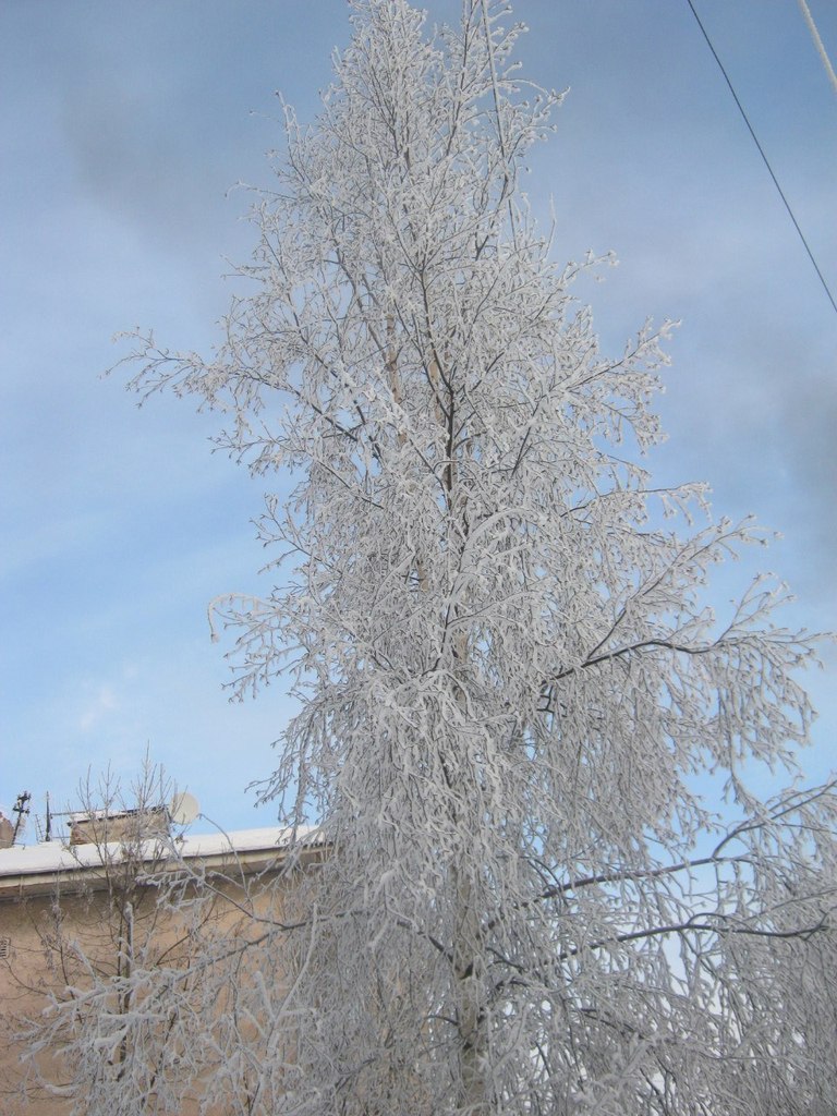 Екатерина Устинова | Санкт-Петербург