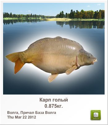 Радмир Хасанов | Уфа