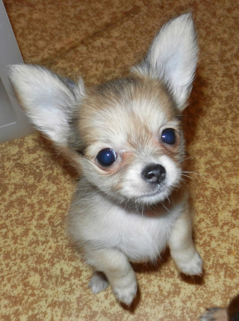 Анастасия Курина Весна!!! | Москва