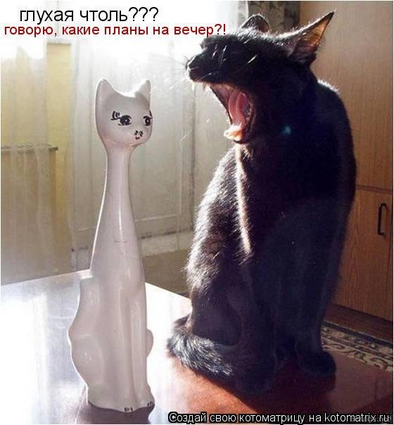 №80, Екатерина Назаренко, 35 лет, Запорожье №80, Екатерина Назаренко, 35 лет, Запорожье