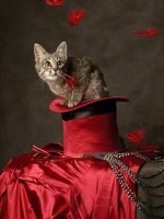 №17, Маргарита Сабанчиева №17, Маргарита Сабанчиева