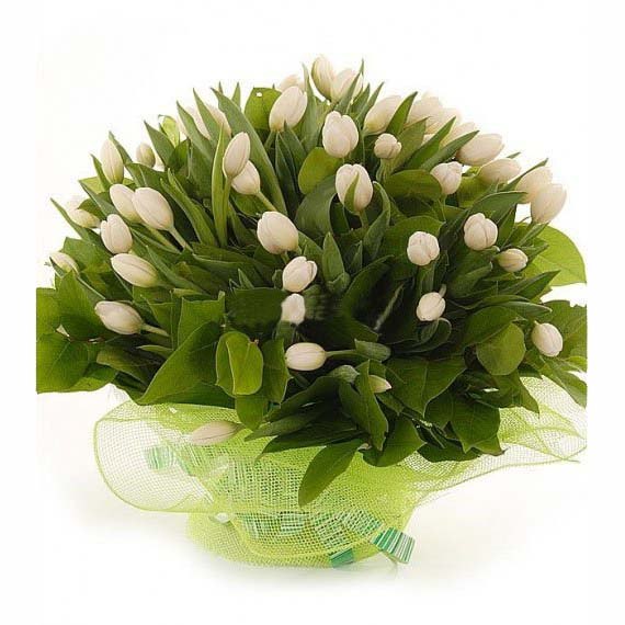 Клим Летов Rastaone | Москва