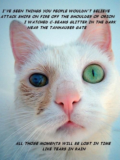 Сергей Новиков | Королёв