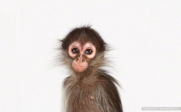 Валерия Стаценко | Ставрополь