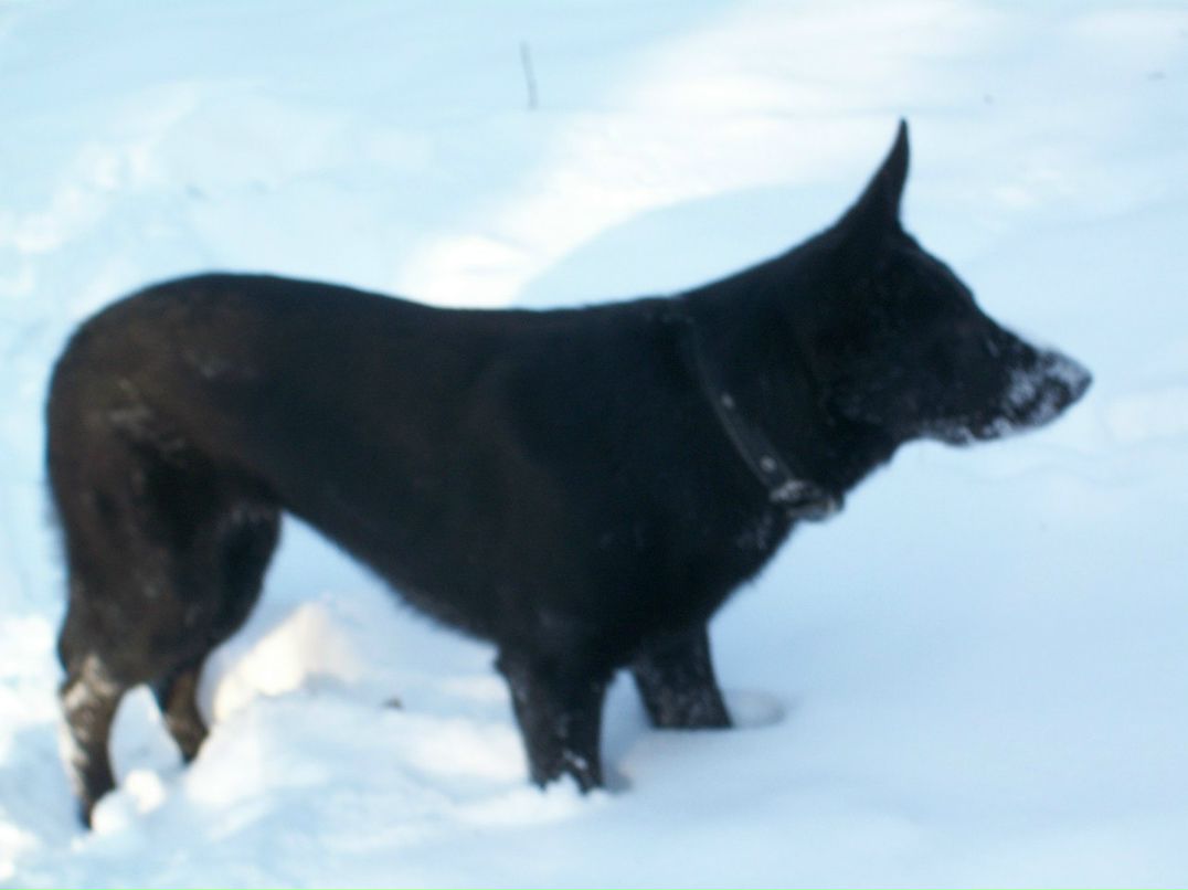 Зинаида Чернышова | Полтава