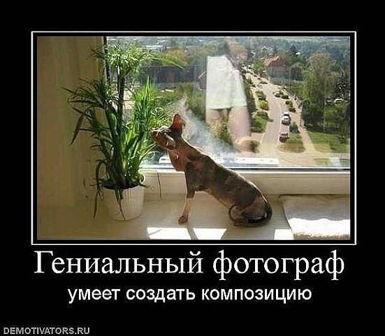 Лариса Коваль | 