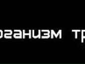 Ирина Панина | Скопин