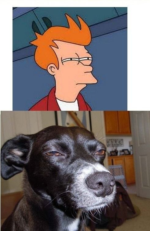 Ирина Лымарь | Киев