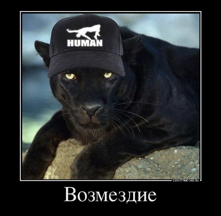 Сергей Сыченков | Красногорск