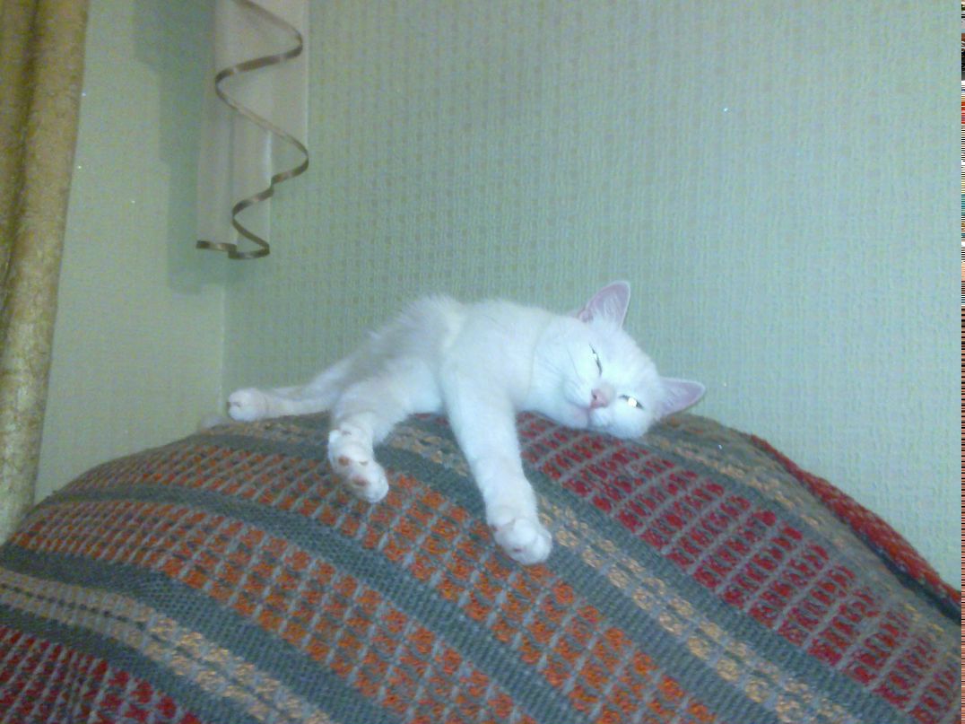 Владислав Мамотов VL4DEK | Омск