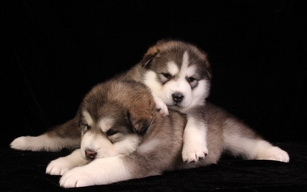 Андрей Козлов КЭП | Санкт-Петербург