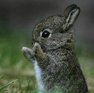 Виктория Полищук | Винница