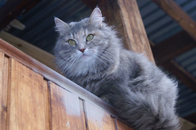 Анастасия Калашникова | Москва