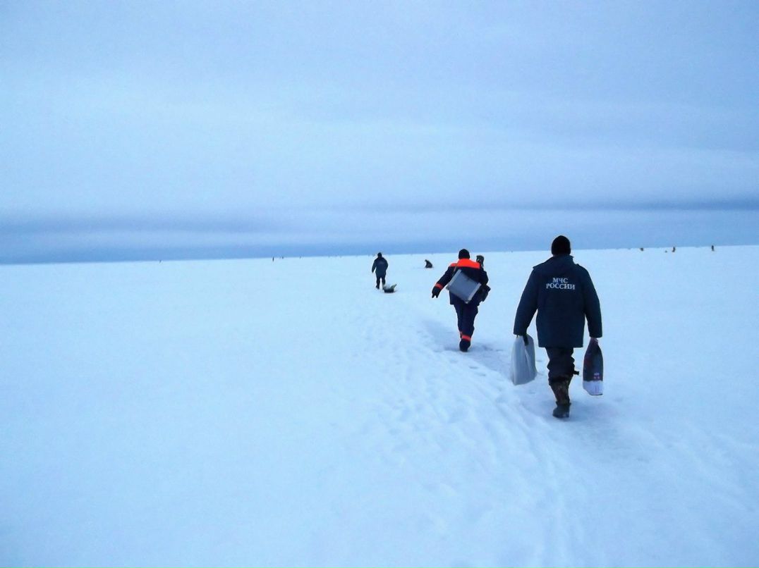 Константин Хитров ip-talker | Санкт-Петербург