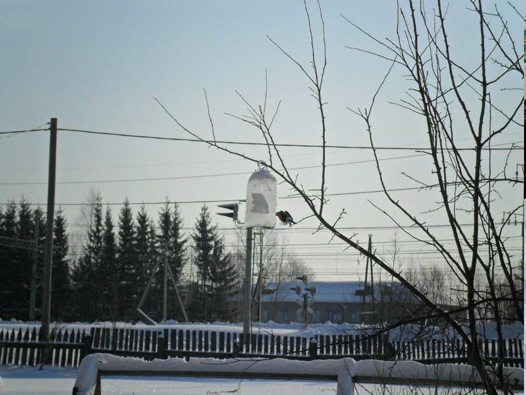 Александр Капитанов | Тургошь