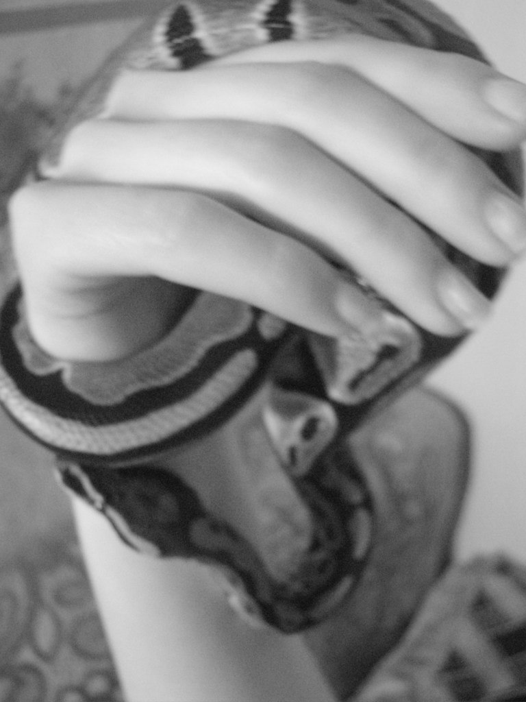 Александра Залыгина | Москва