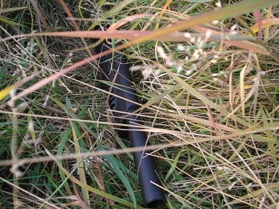 Алеша Колин | 