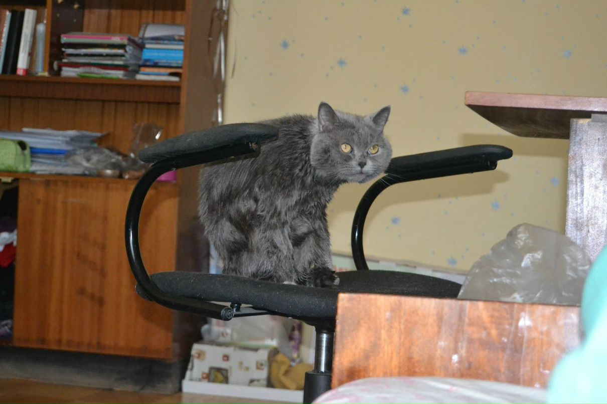 Антон Кряжевских <=Shutik=> | Ижевск