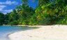 Олеся Белова-Филинкова Счастливица | Сочи