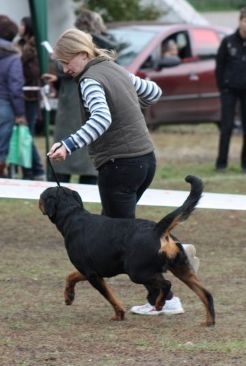 №73, Ольга Брусник, Кривой Рог №73, Ольга Брусник, Кривой Рог