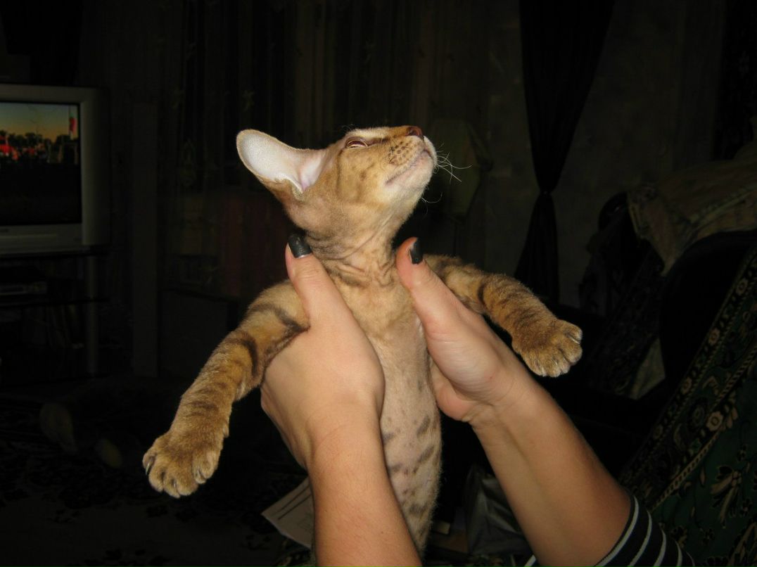 Наталья Загуляева | 