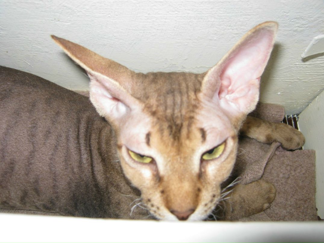 Наталья Загуляева | 